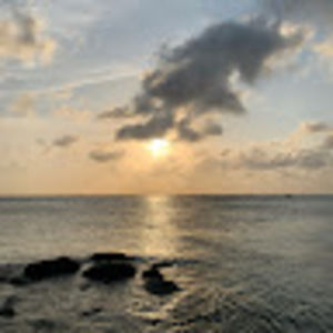 Meet your Posher, Avary